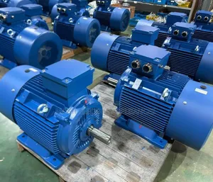 Single and Three Phase Motors in All Sizes