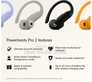 Beats Powerbeats Pro 2 Wireless Bluetooth Sports Earbuds - Jet Black