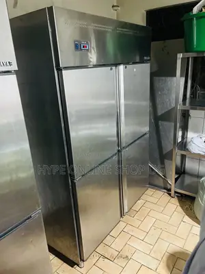 Chiller Fridge Professional Technician