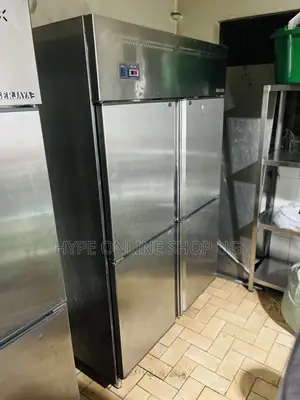 Chiller Fridge Professional Technician