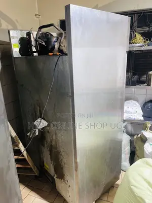 Fast Repair Service,Gas Filling for Chillers and Other Fridges