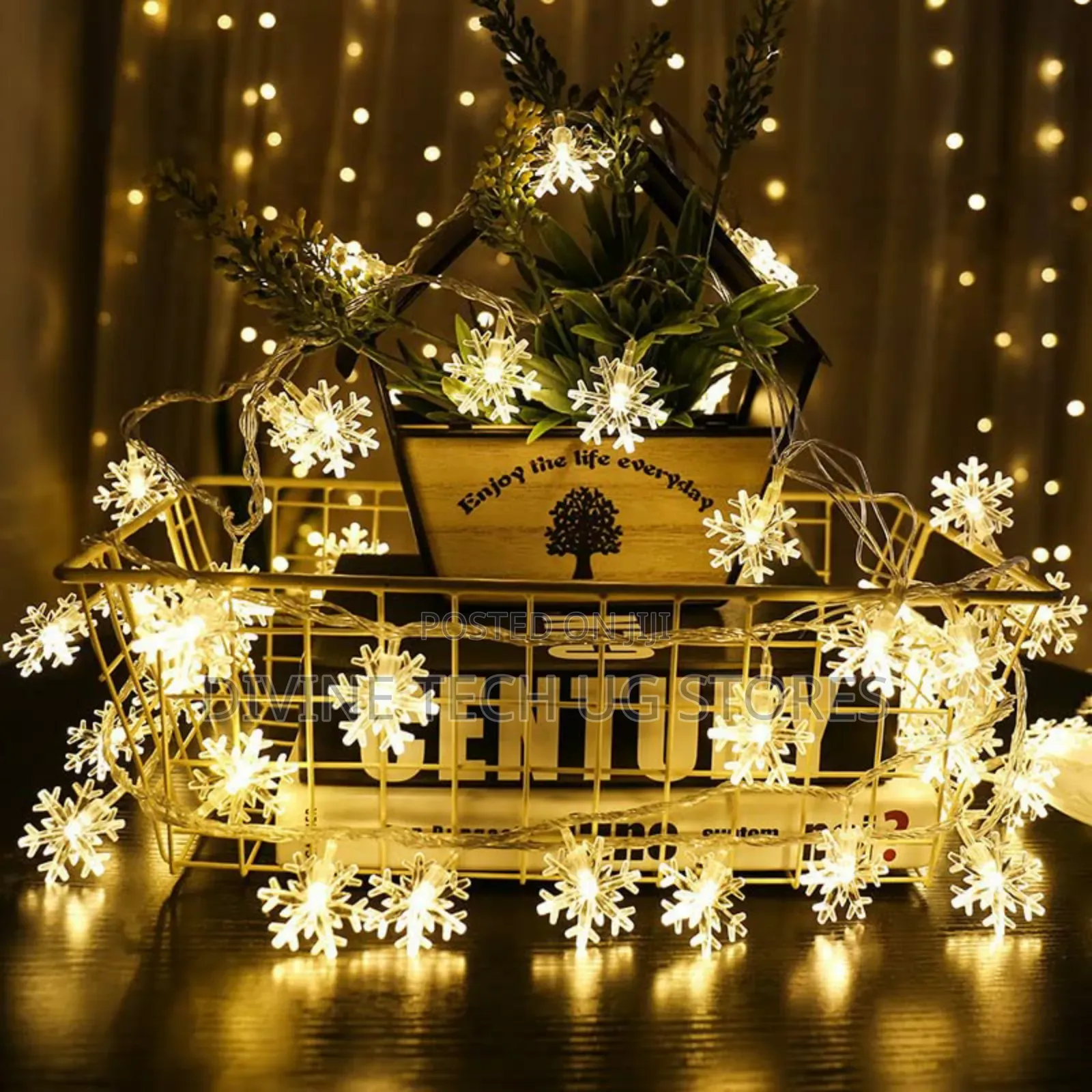 Christmas Curtain Lights( Snowflake and Stars)