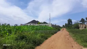 2 Plots on Sale Mukono Mpoma Canan Estate 80m Each