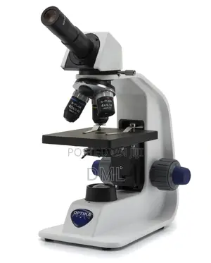 Microscope