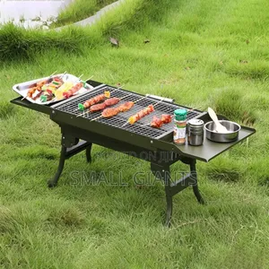 Portable Green Foldable Charcoal BBQ Grill