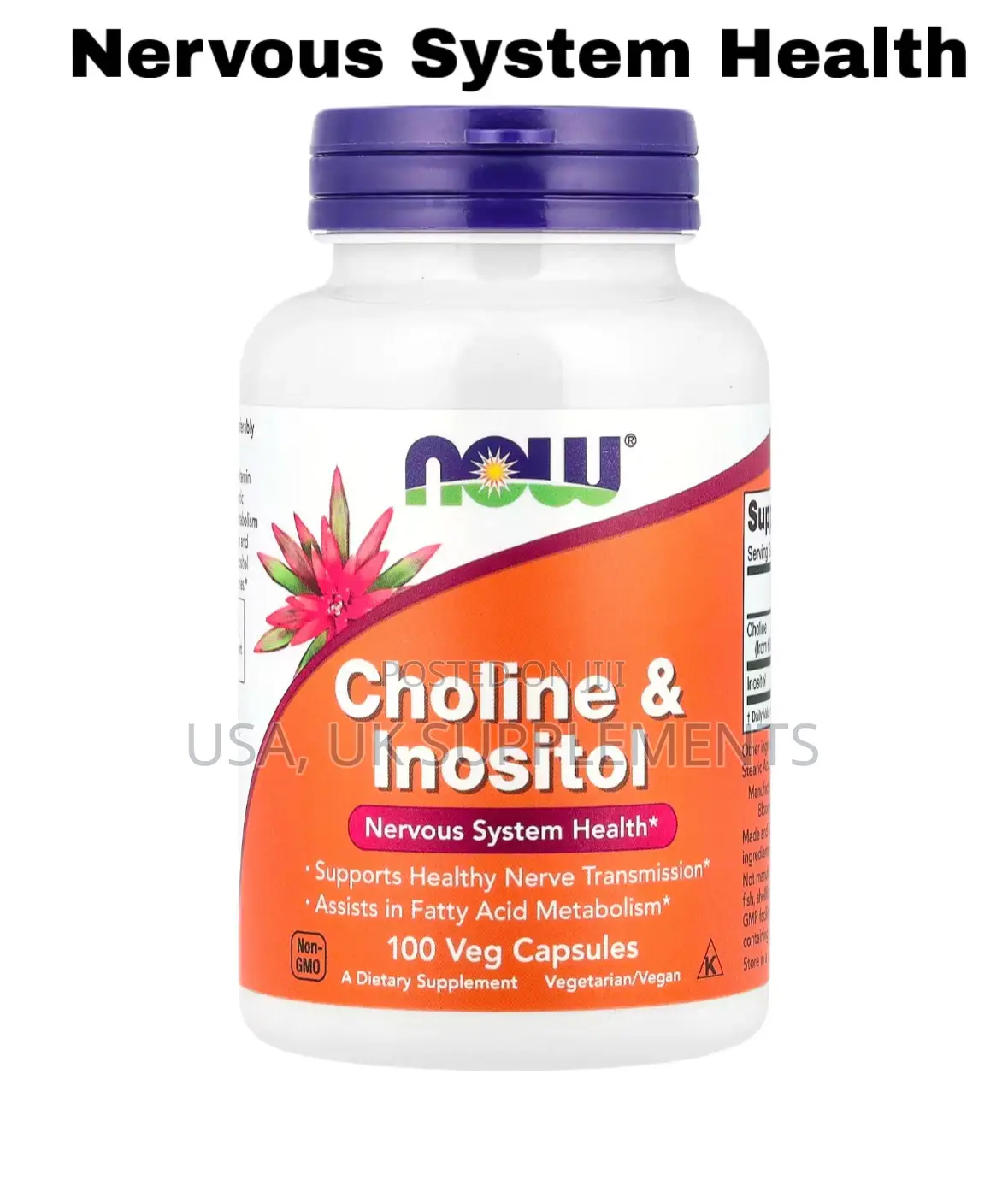 Choline and Inositol 100capsules Now