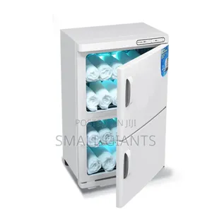 Electric Dual-cabinet Hot Towel Warmer