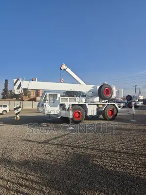 Cranes Are Available for Rent