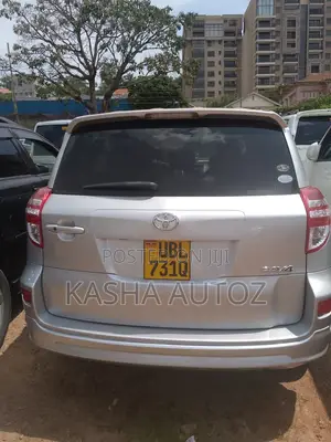 Toyota RAV4 2010 Silver