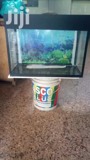 Beautiful Aquarium With Aqua 2000