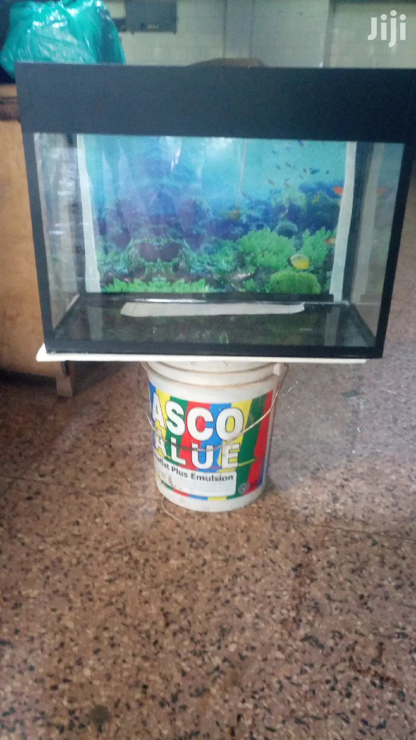 Beautiful Aquarium With Aqua 2000