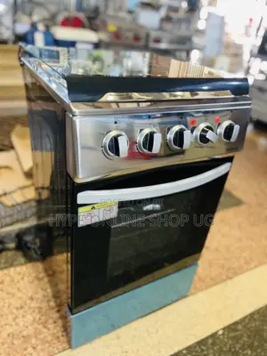 Low Power Consumption 3+1,Electric and Gas Cooker