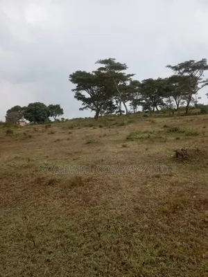 100 Acres of Land in Kalungu District Before Masaka