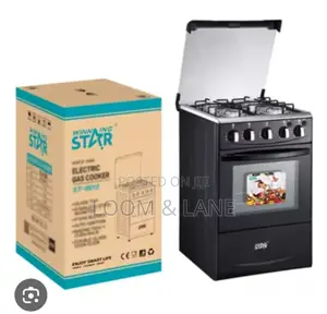 Winning Star Electric Cooker With Gas Burners