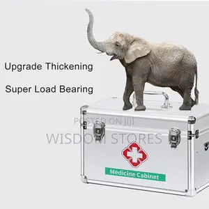 Medication Lock Box With Key Medium