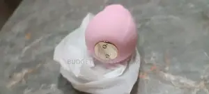 Rechargeable Rose Sucker