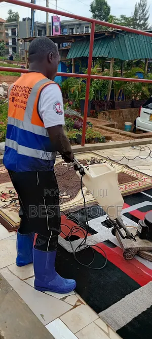 Expert Carpet Cleaning Services for More Than Just Clean Carpets.