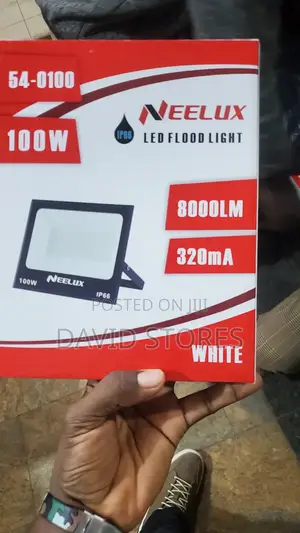 Neelux 100w Led Floodlights