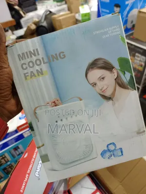 Mini Air Cooler / Humidifier.