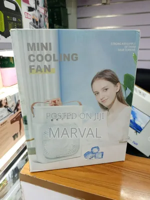 Mini Air Cooler / Humidifier.