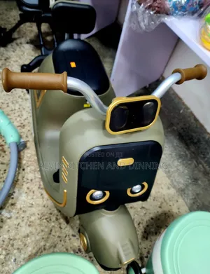 Kid's Electric Scooter.