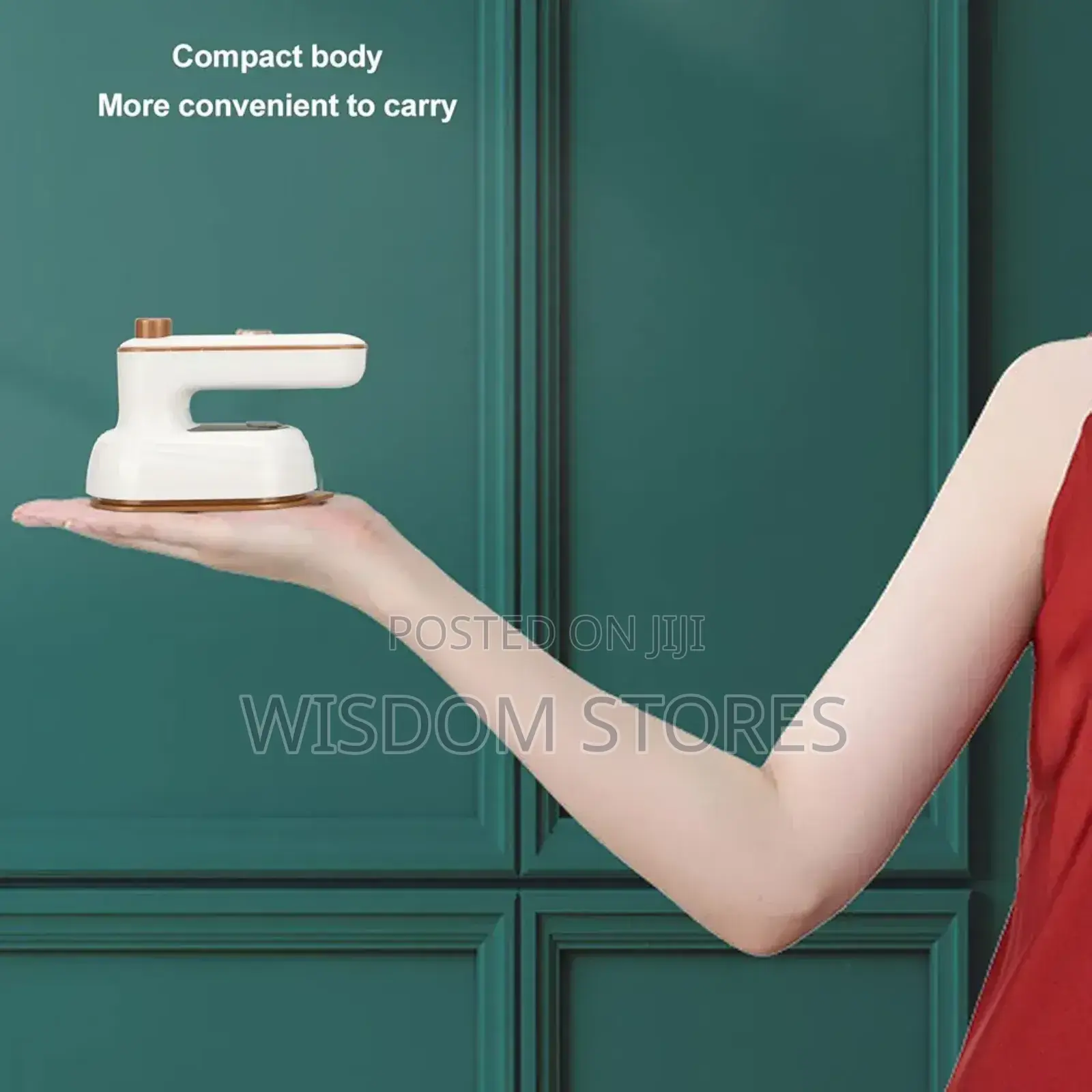 Portable Handheld Steam Iron