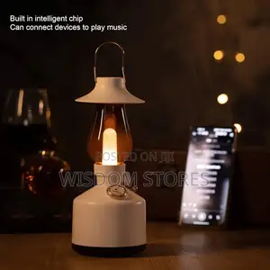 Sokany Music Lamp