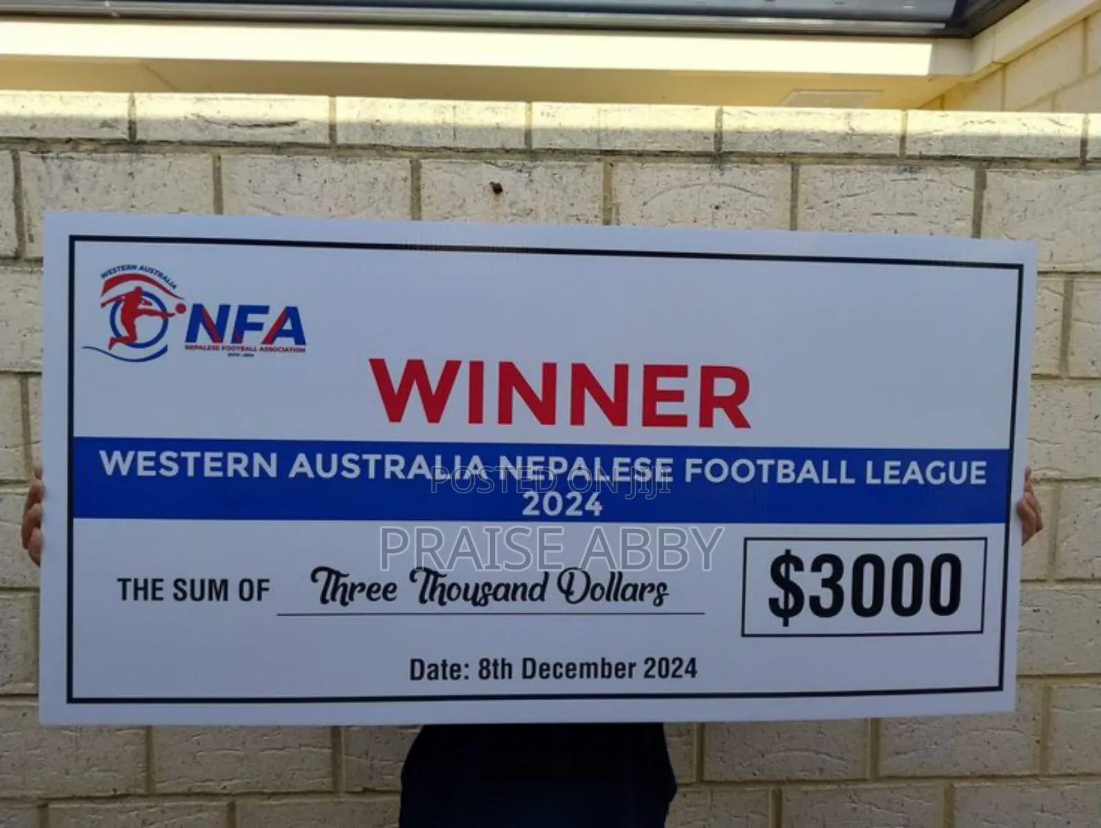 Dummy Cheques