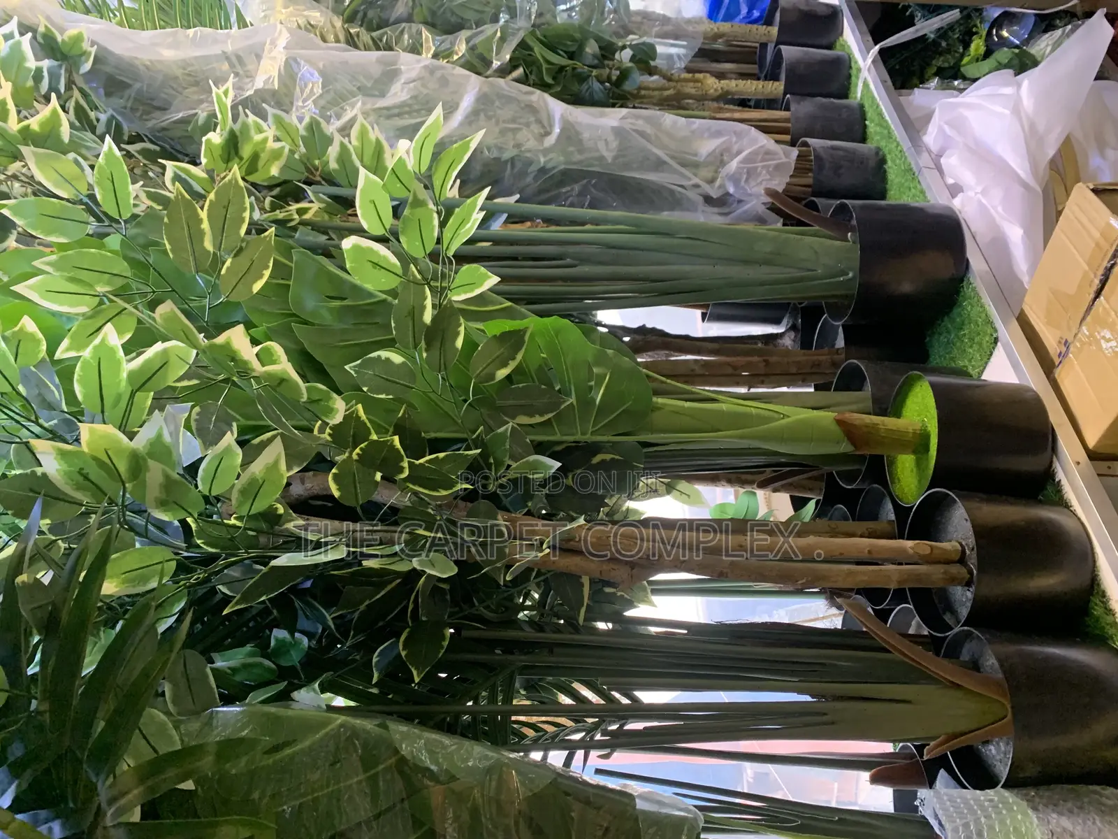 Artificial Big Plants and Trees  Each