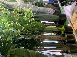 Artificial Big Plants and Trees  Each