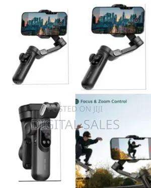 Green Lion New York Gimbal