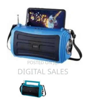Sunafrica Portable Bluetooth Speaker With Fm/Am Radio Powerful Torch