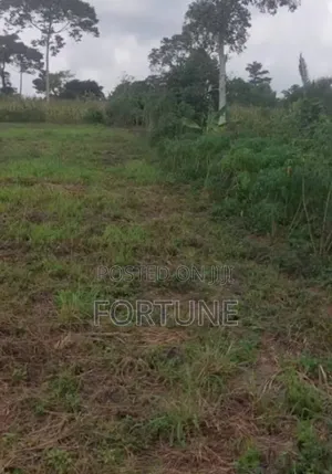 Village Land