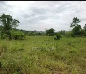 Land for Farming