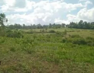 Land for Project Farm
