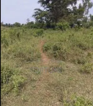 Project Land for Agriculture