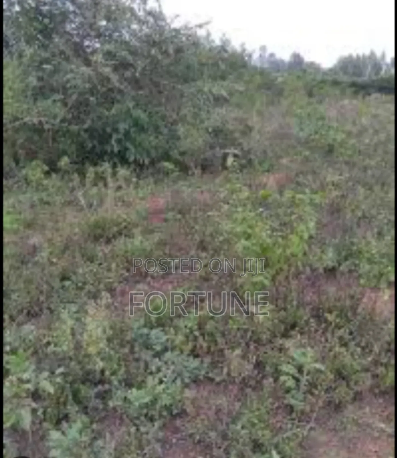 Agriculture Project