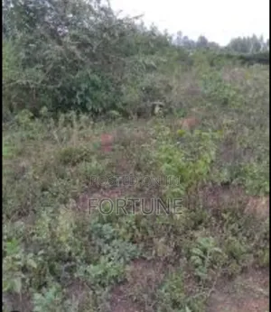 Agriculture Project