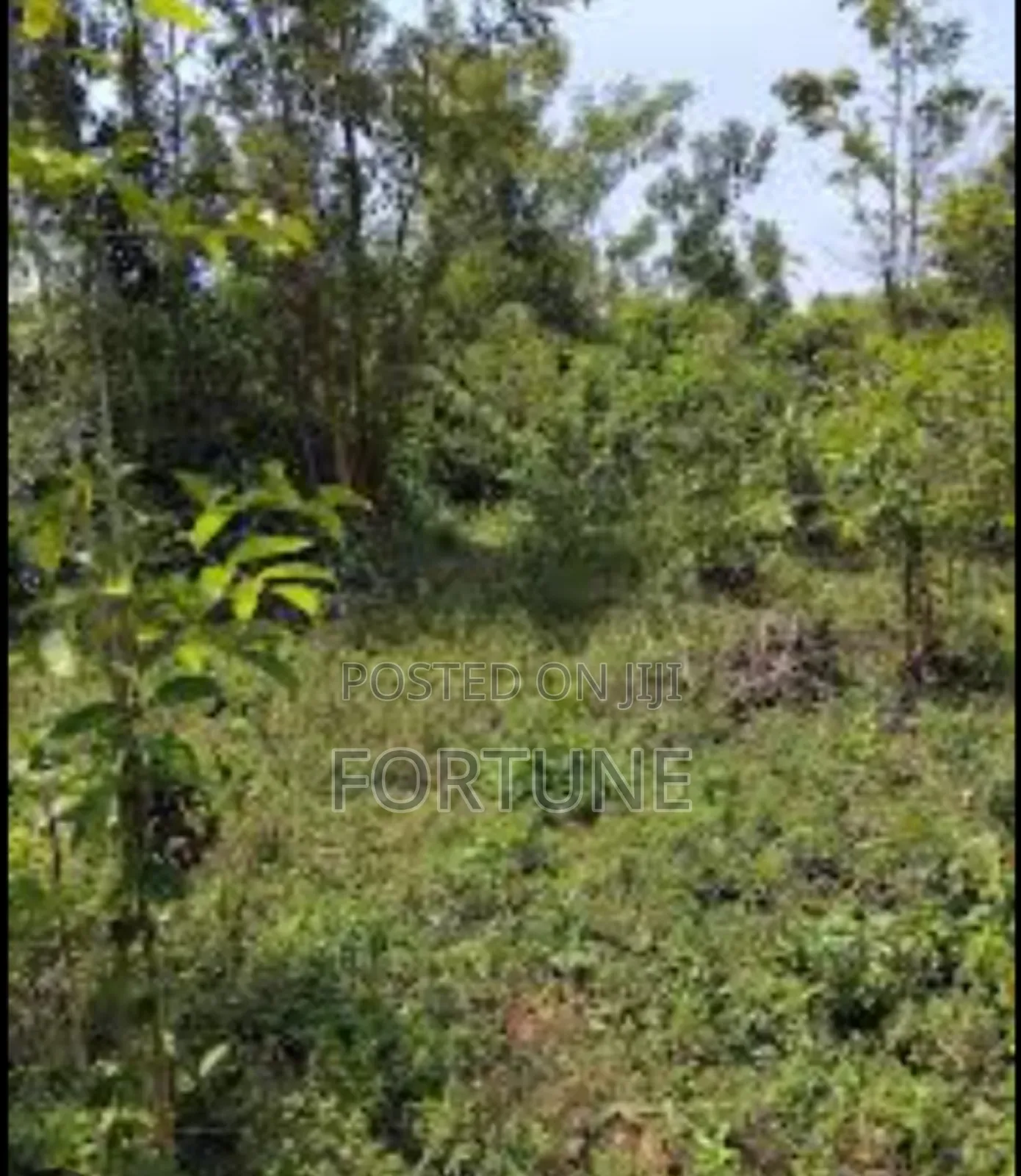 Agriculture Project