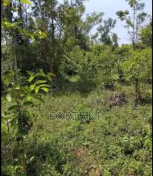 Agriculture Project