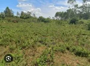 Brick Project Land