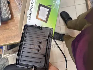 50watts Floodlight Panda