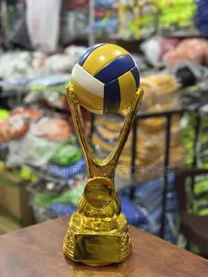 Volleyball Customized Award Trophy