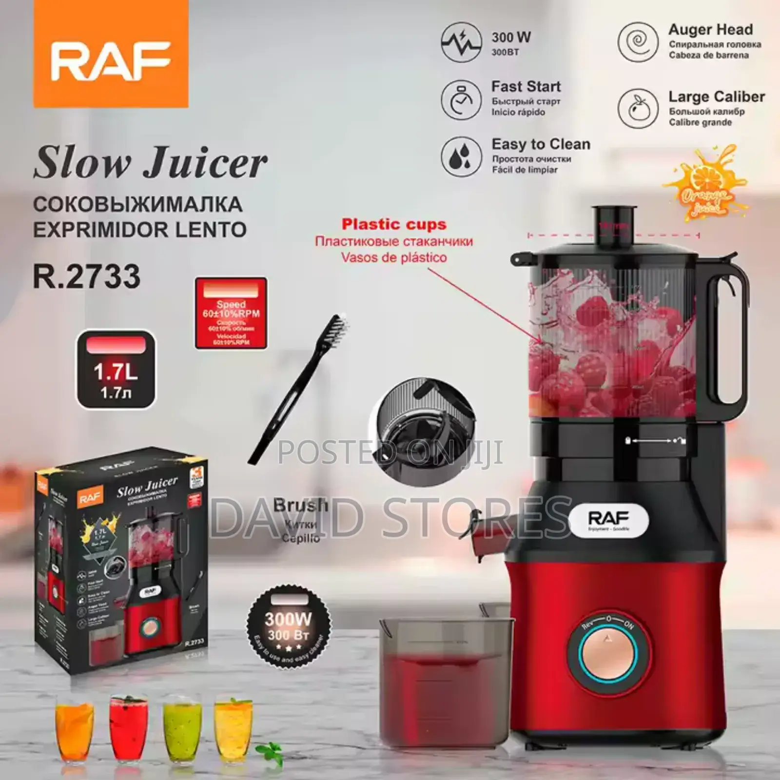 Raf Slowjuicer R-2733