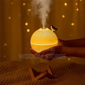 New Design 330ml Mini Air Humidifier Warm Light Cool Mist