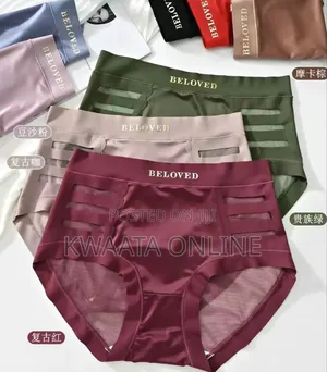 12 Pieces Women Knickers (Beloved) Underwear Silk Ruffled Cute Panties