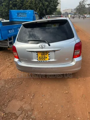 Toyota Corolla Fielder 2010 Silver