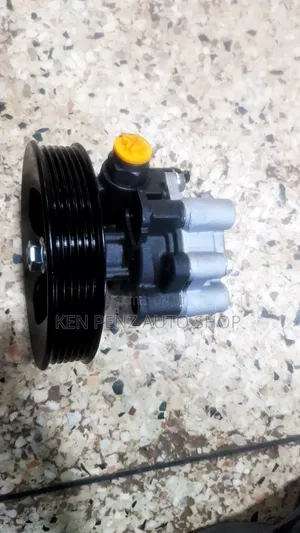 Steering Power Pump for Landcruiser Fj100, Lexus and Signus