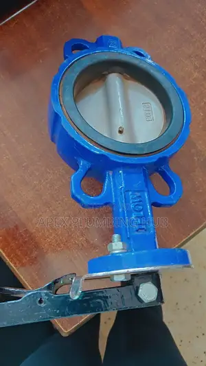 Butterfly Valve
