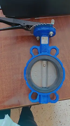 Butterfly Valve
